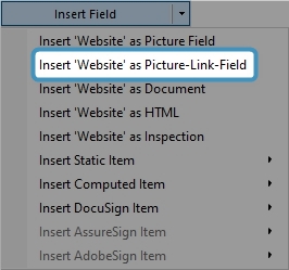 Drop-down selection for Insert Field