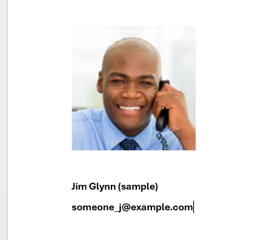 Our entity image in our template